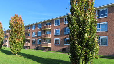 912239 Gezicht op de achterzijde van de studentenflat Ina Boudier-Bakkerlaan (IBB) 43-53 te Utrecht, vanaf het fietspad ...